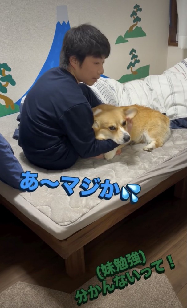 ずっと撫でられるジッさん