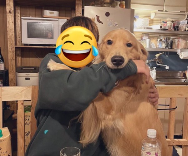 ゴル