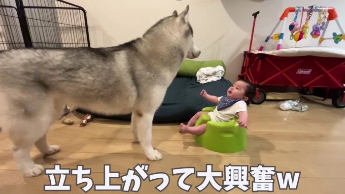 刺激をもらうことも♪