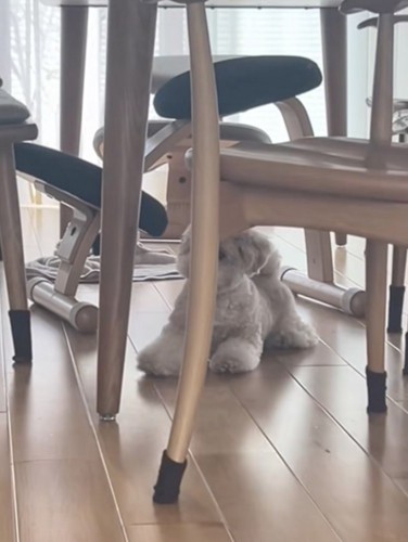 再び溶けてゆく…