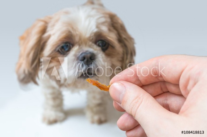 子供とクッキーを食べるフレブル