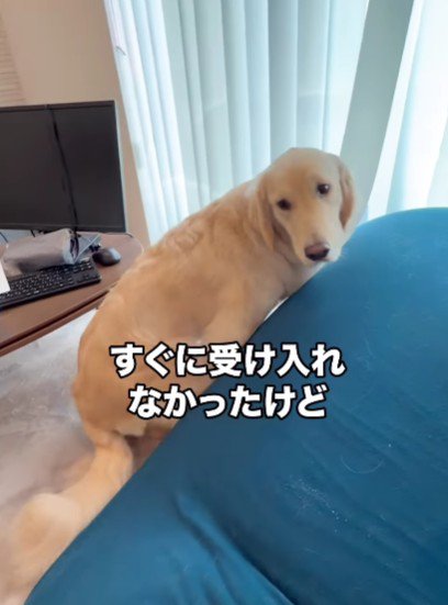 びっくりして後ずさり