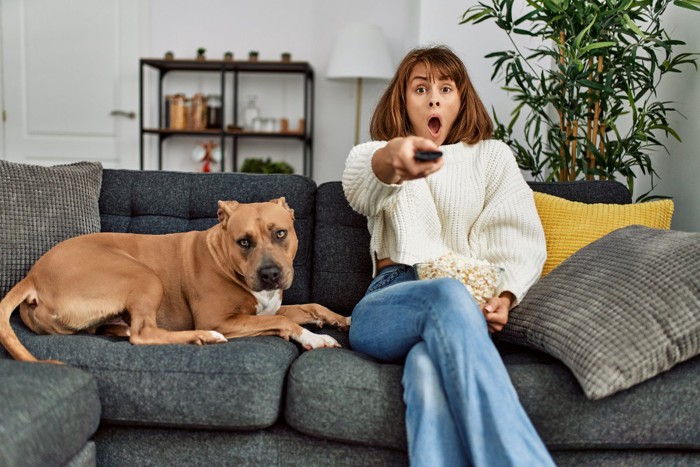 ソファに座る女性と犬