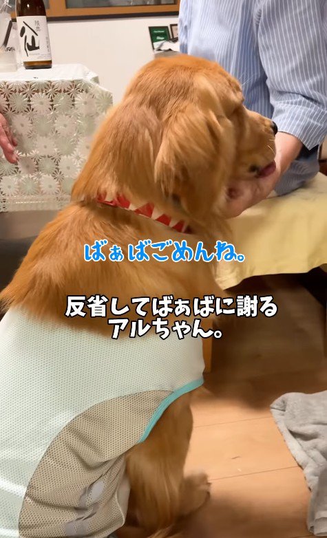 素直に謝れてお利口さんです!