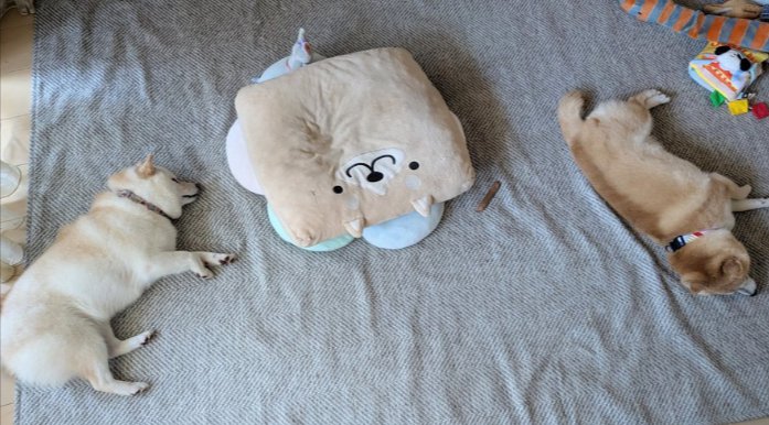 穏やかな日常