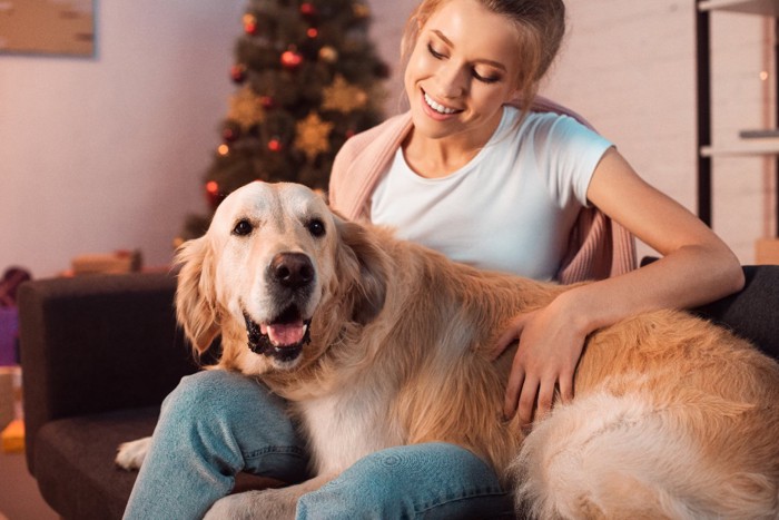 クリスマスに一緒に過ごす女性と犬