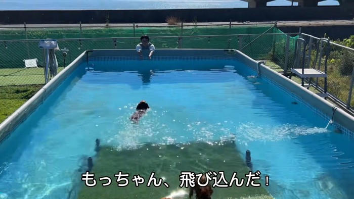 勇気を出して水の中へ