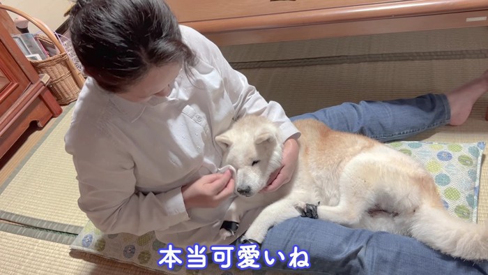 お母さんの前では赤ちゃん