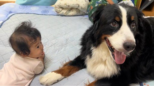 子守り中のとらじろう君