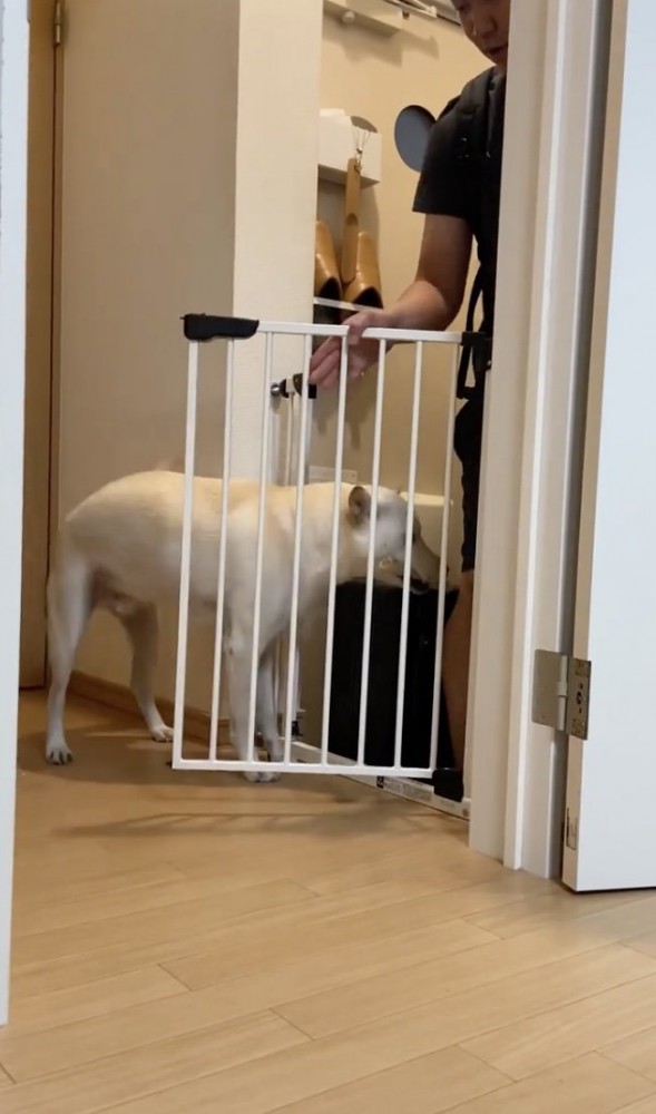 熱烈歓迎