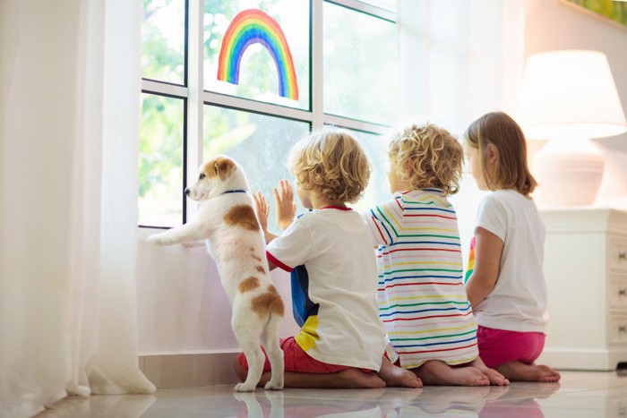 窓の外を見る子犬と子どもたち