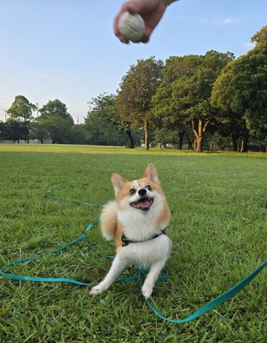 遊び