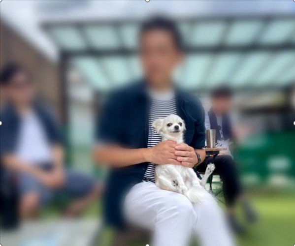 お気に入り