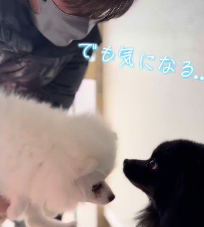 すぐに意気投合♡
