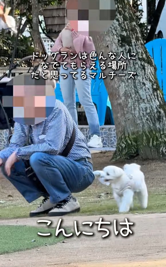 あいさつするおもちくん