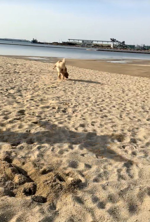 海辺でのハプニング3