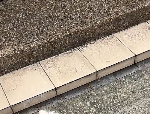 道路