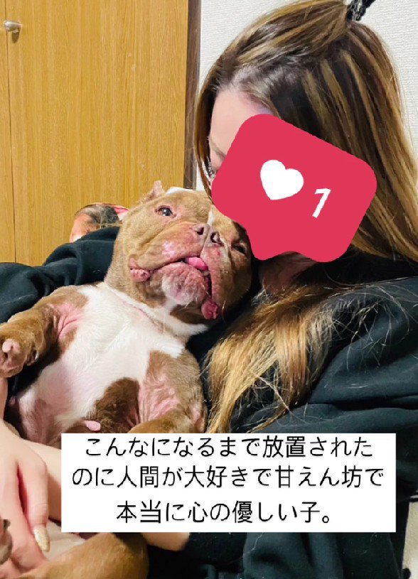 それでも人間が好き
