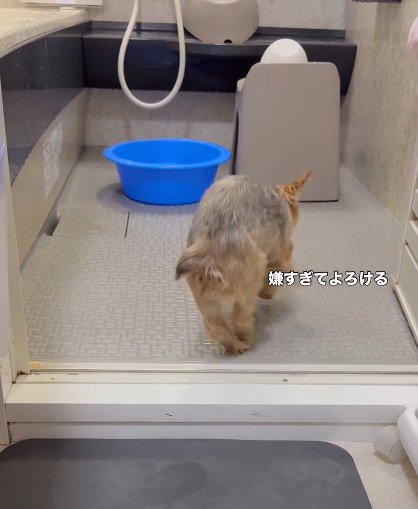 自分で向かうそらちゃん