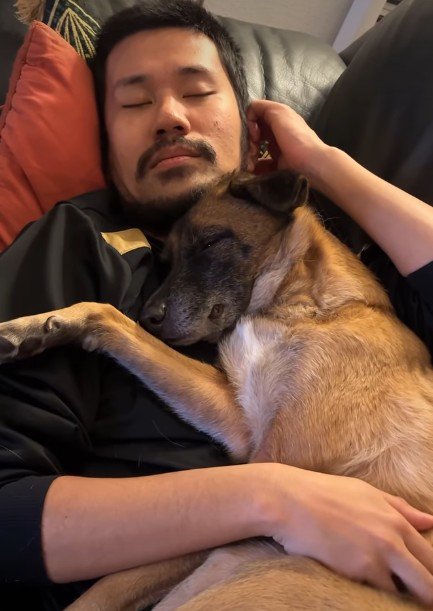 山奥で野犬として暮らしていた
