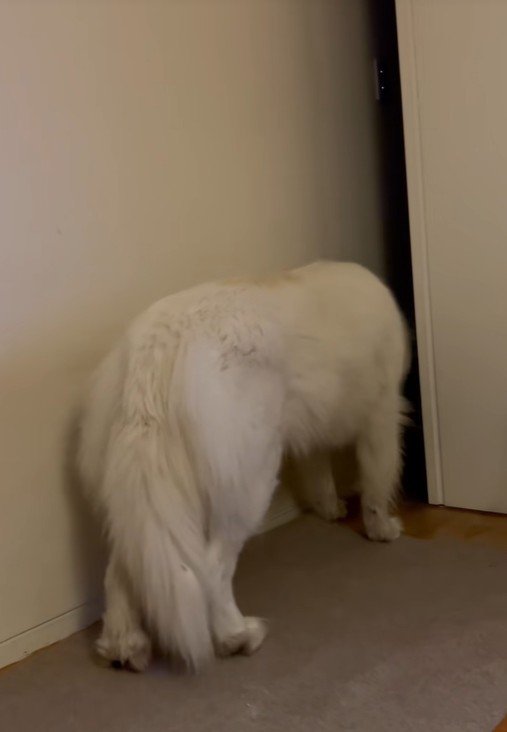 器用にドアを開けて…