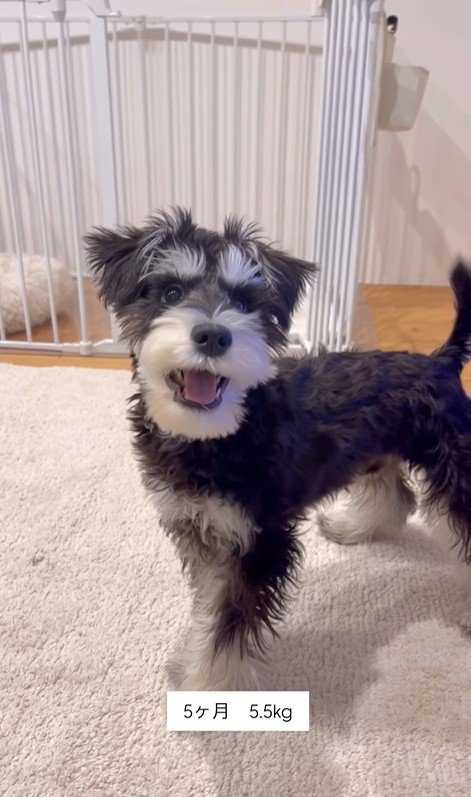 ボセくんの成長記録3