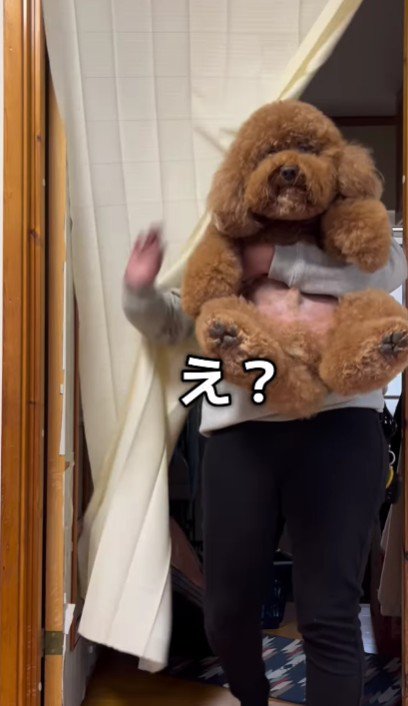 本当に子犬…！？