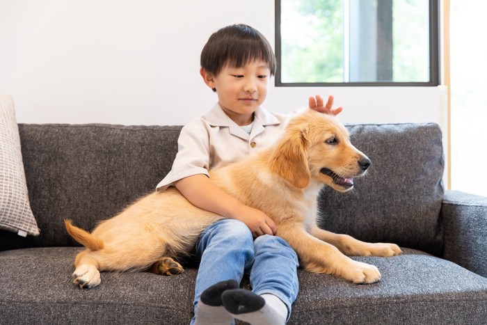 女性に抱っこされている犬