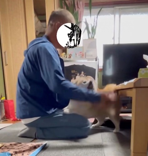 口を開ける犬
