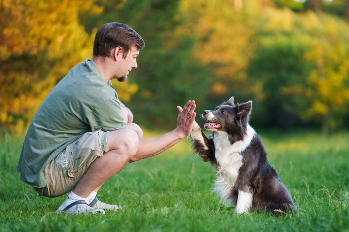 男性と犬
