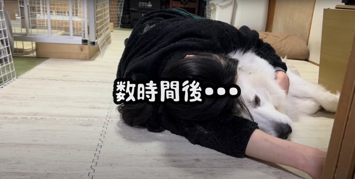 飼い主と添い寝する犬