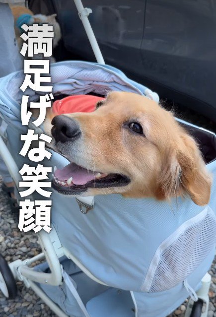 すっかりご満悦