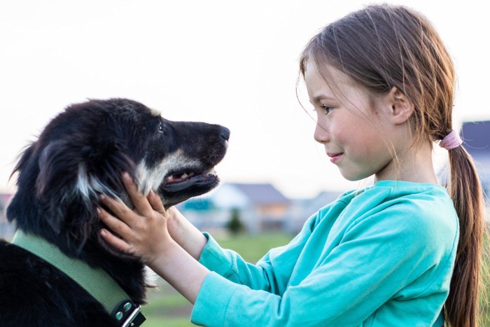 見つめ合う犬と少女