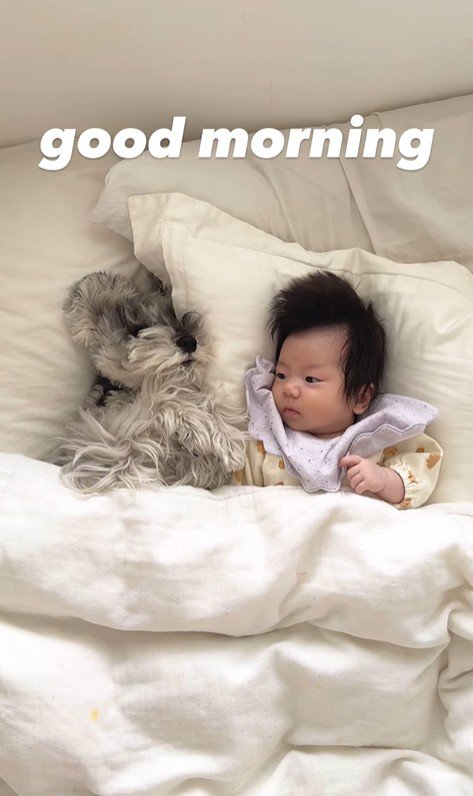 2人目の赤ちゃんとトトちゃん