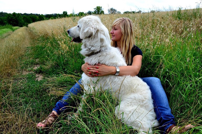 犬と女性の写真 