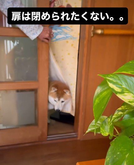 扉を開けるも…