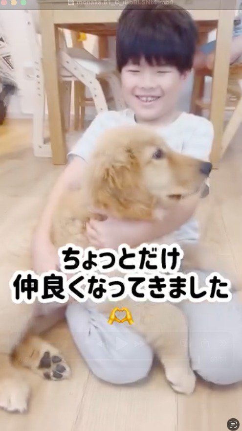 男の子の膝の上に乗る子犬