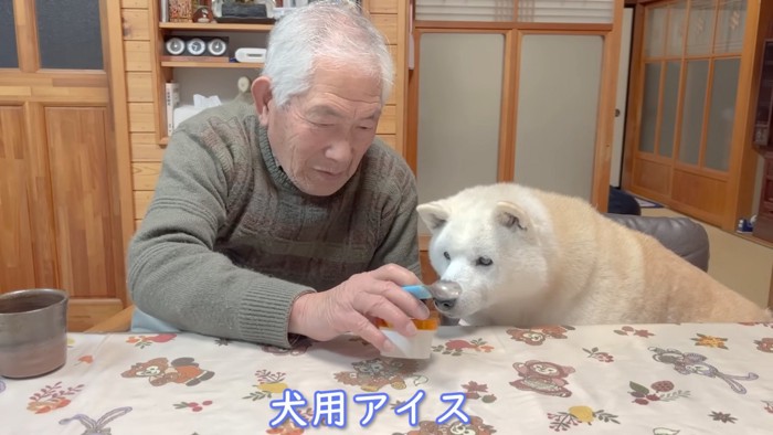 犬用アイスをもらえた！