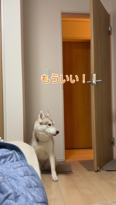 「もういい！」