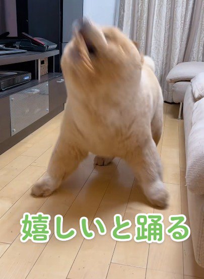 踊ってるかのような大歓喜♪