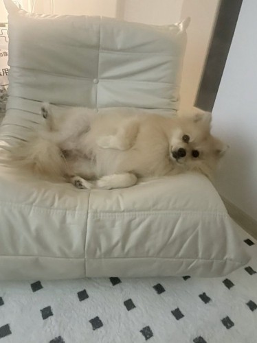 はみ出ちゃってます