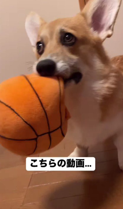 ブルブル震えるおもちゃ！