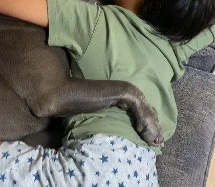 男の子の背中に回された犬の前足