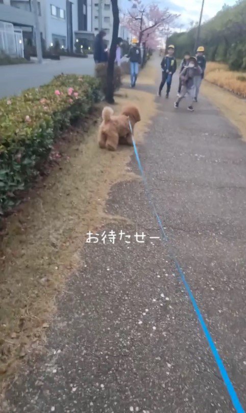 小学生に遭遇したぷぅ太郎3