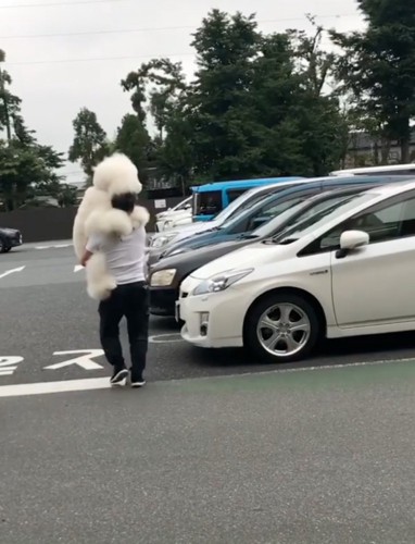 犬を抱っこするパパ