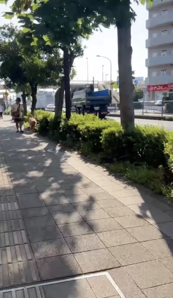 散歩満喫中〜