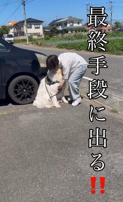 「お?抱っこか…?」