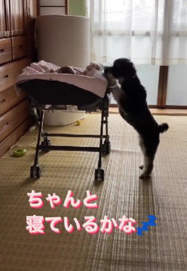 小さな赤ちゃん！！