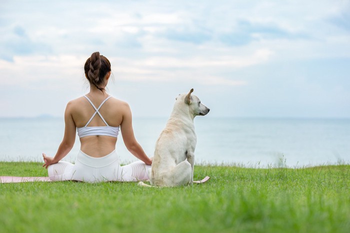 白い犬とヨガをする女性