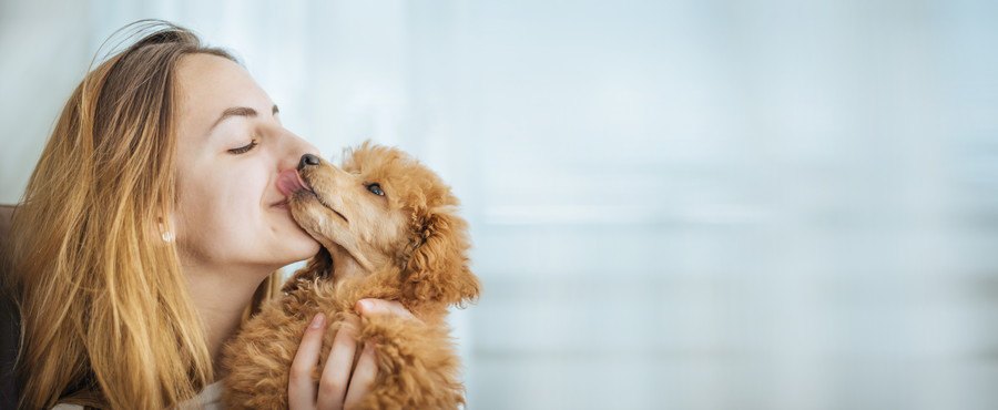 犬にキスする女性